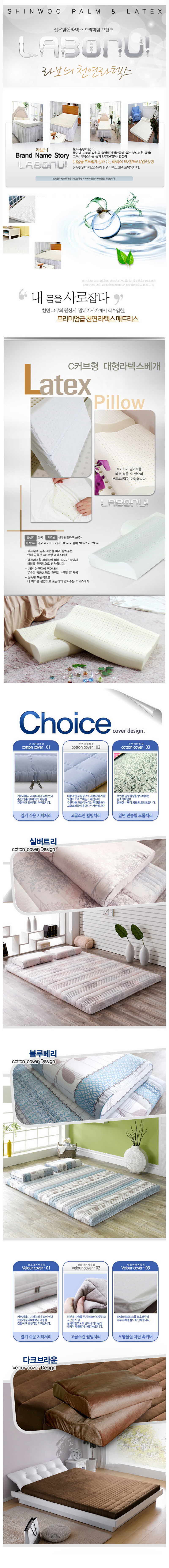 narea2_13_d.jpg