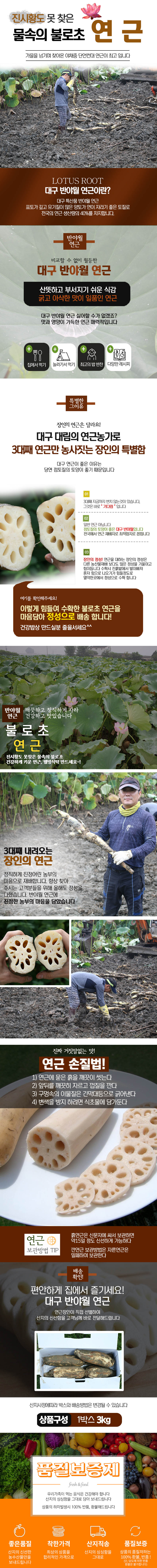 nugu_6_d.jpg