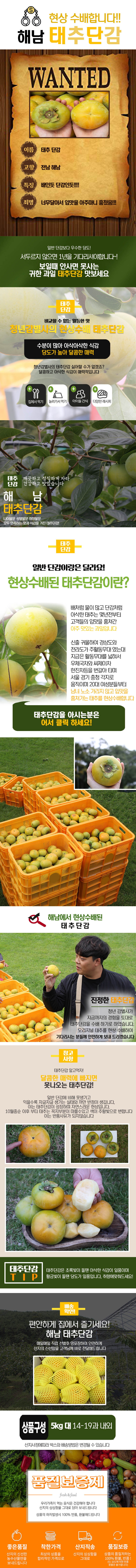 nugu_15_d.jpg