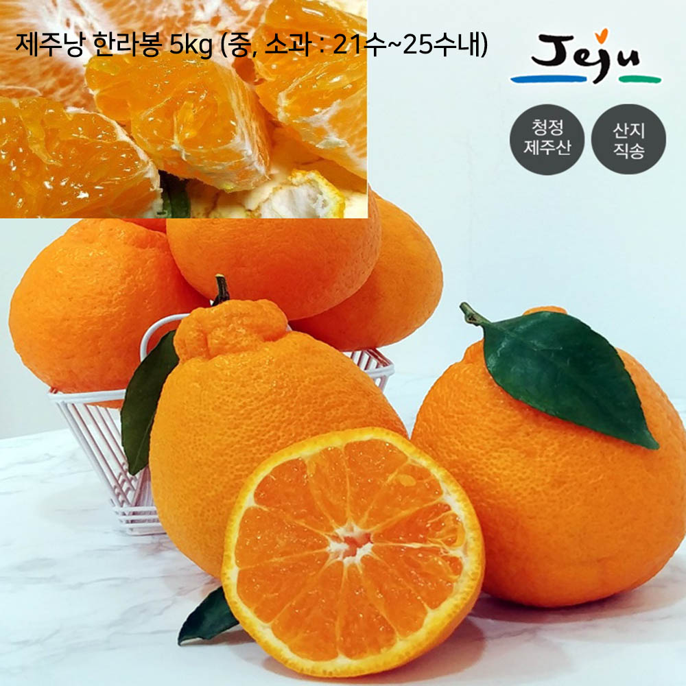 제주낭 한라봉 5kg (중, 소과 : 21수~25수내)