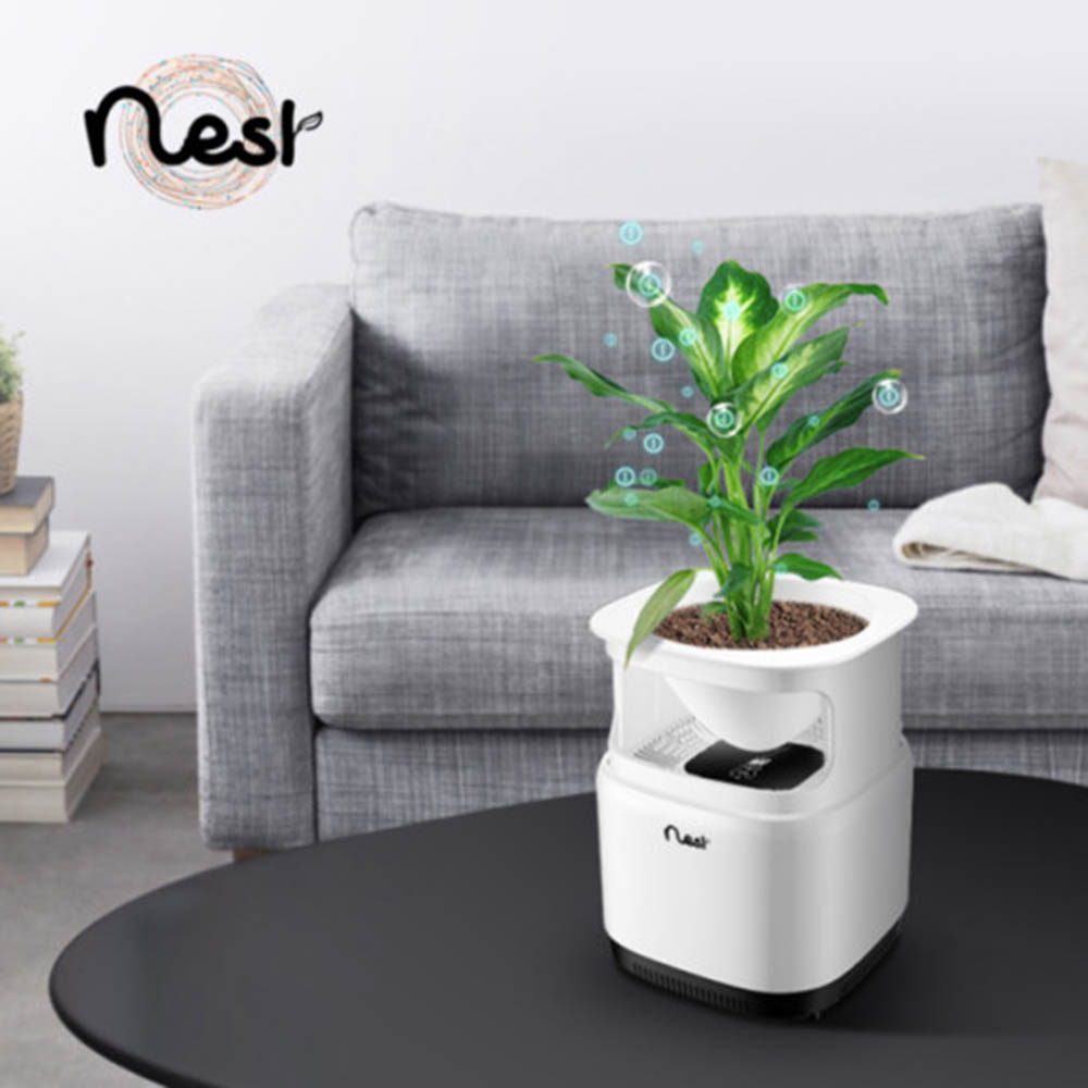 NEST 공기청정기 플렌트
