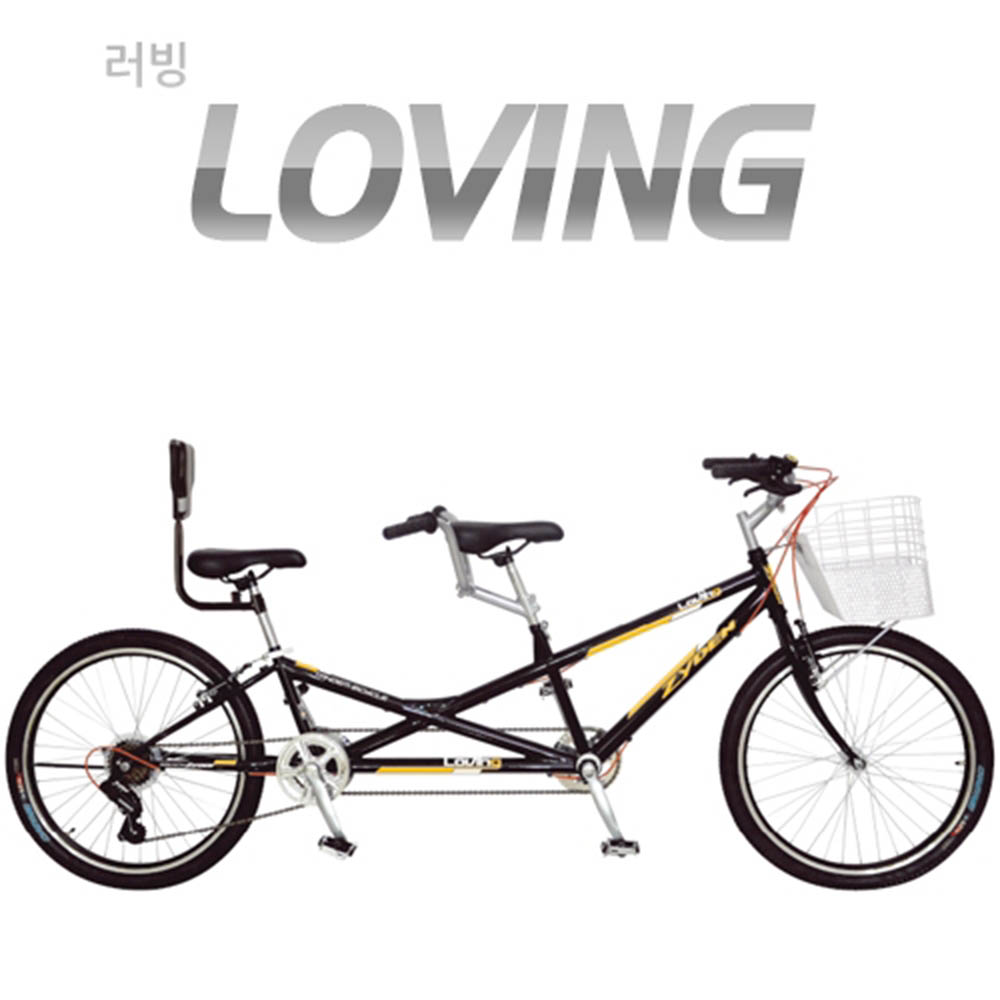 지오닉스 ZyDEN 스페셜 러빙(2인승)