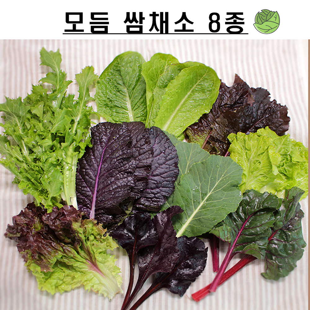 김포 무농약 쌈채 8종