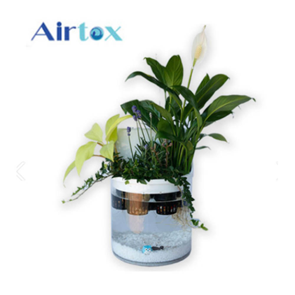 [에어톡스] 아쿠아팟 수경재배 공기정화기(식물포함) / 자연가습