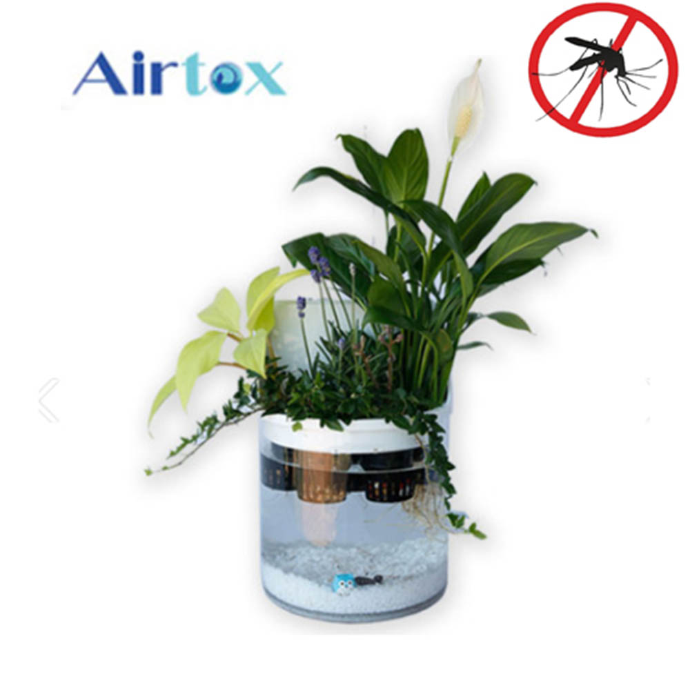 [에어톡스] 아쿠아팟 모기퇴치 수경재배 공기정화기(식물포함) / 자연가습