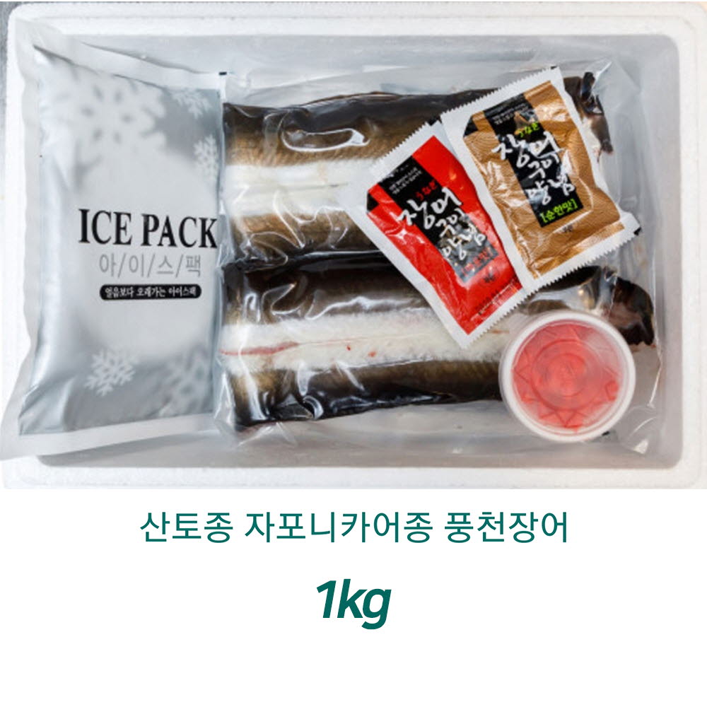 산토종 자포니카어종 고창풍천장어 1kg