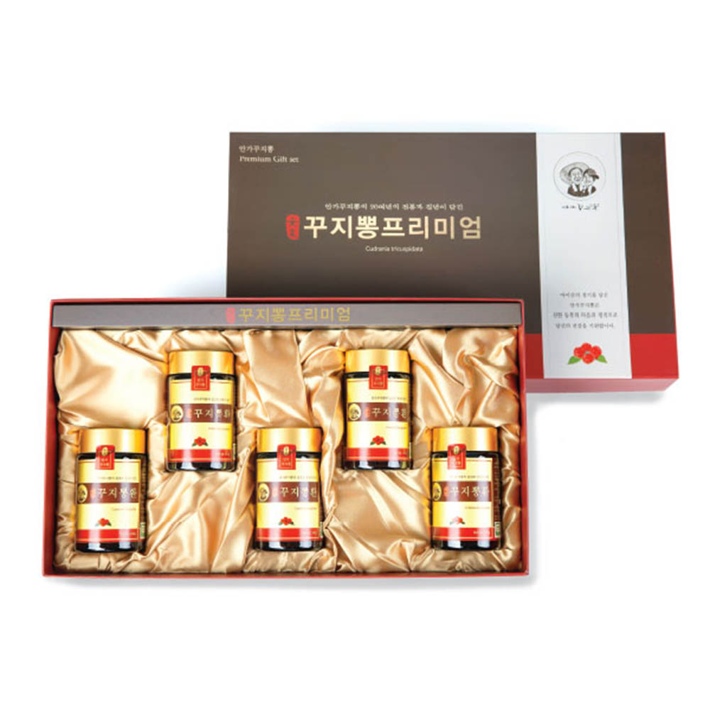 안가 꾸찌뽕 농축액 골드세트 (240g*5ea)