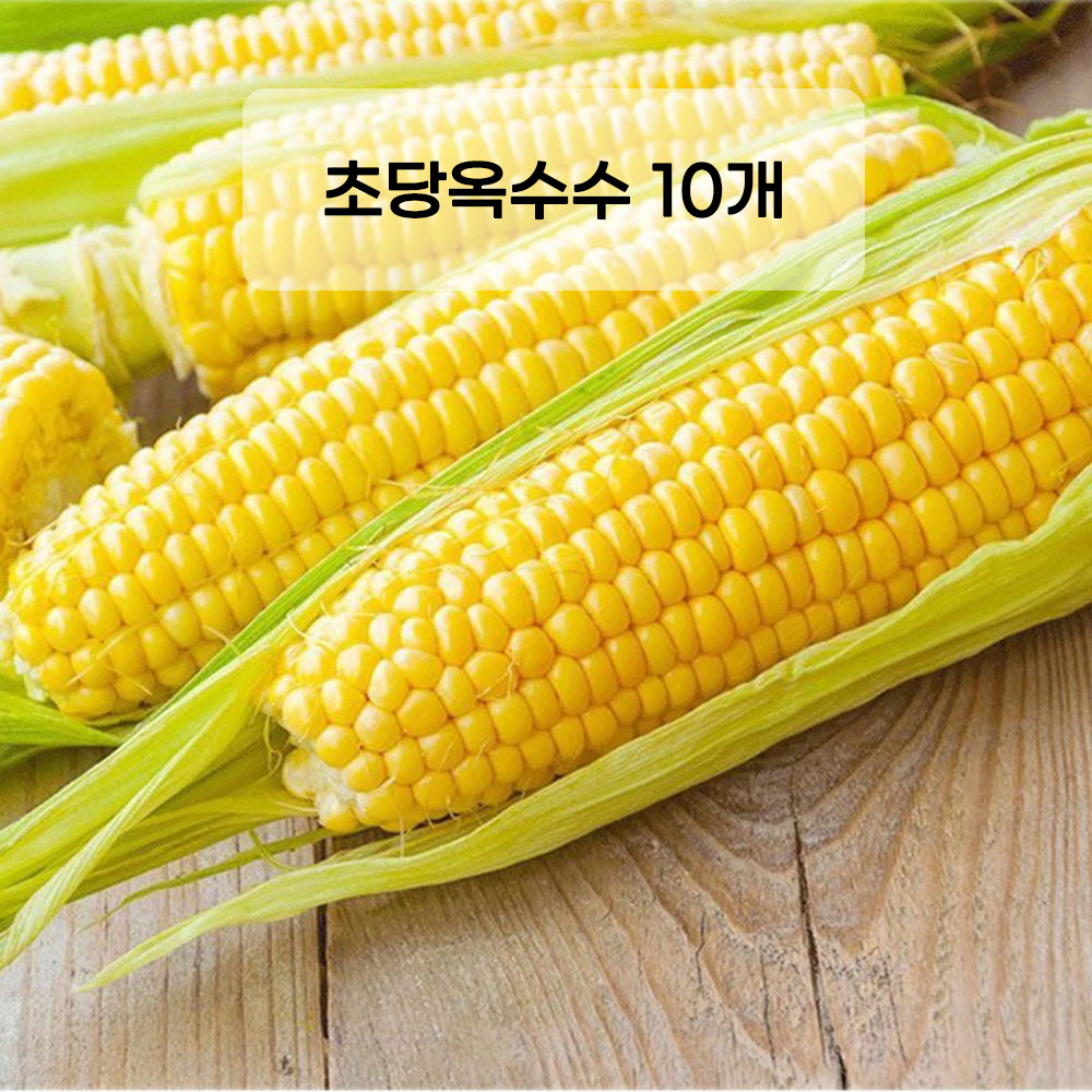 제주 산지직송 초당옥수수 10개