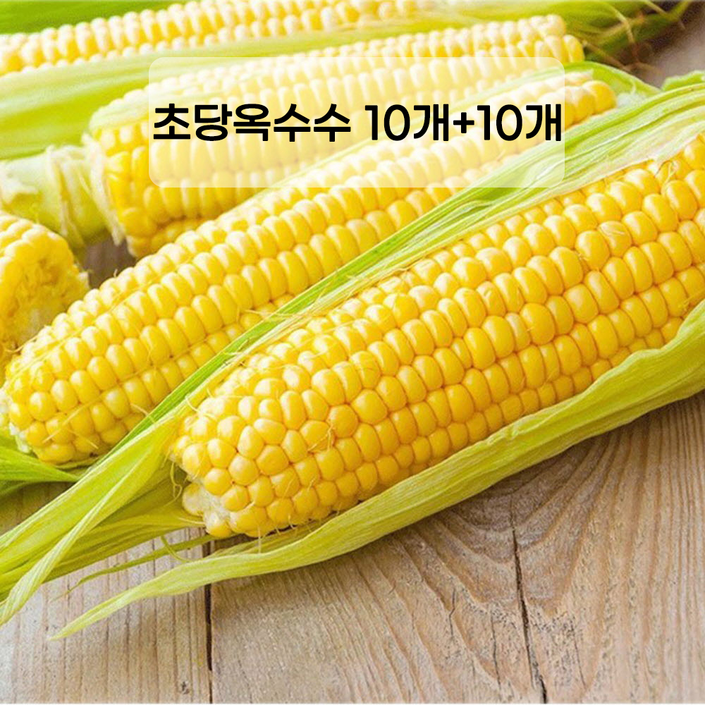 제주 산지직송 초당옥수수 10개+10개