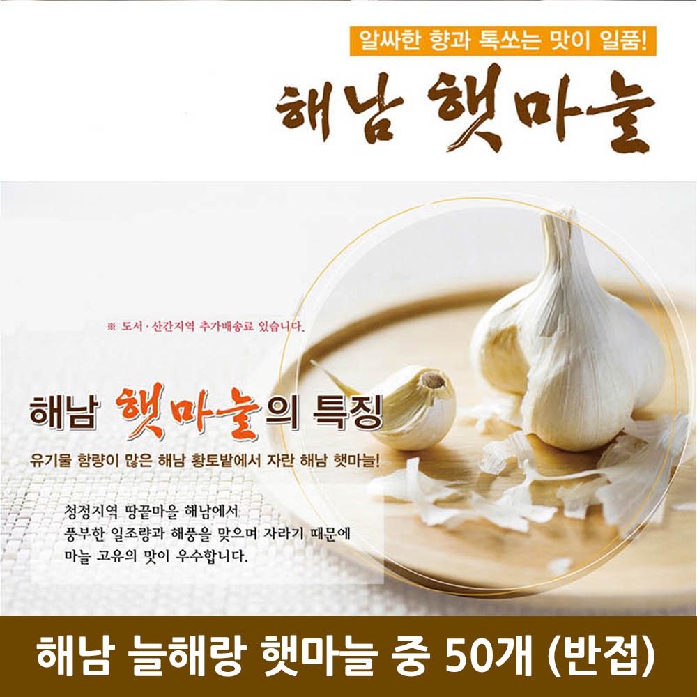 해남 늘해랑 햇마늘 중 50개 (반접)