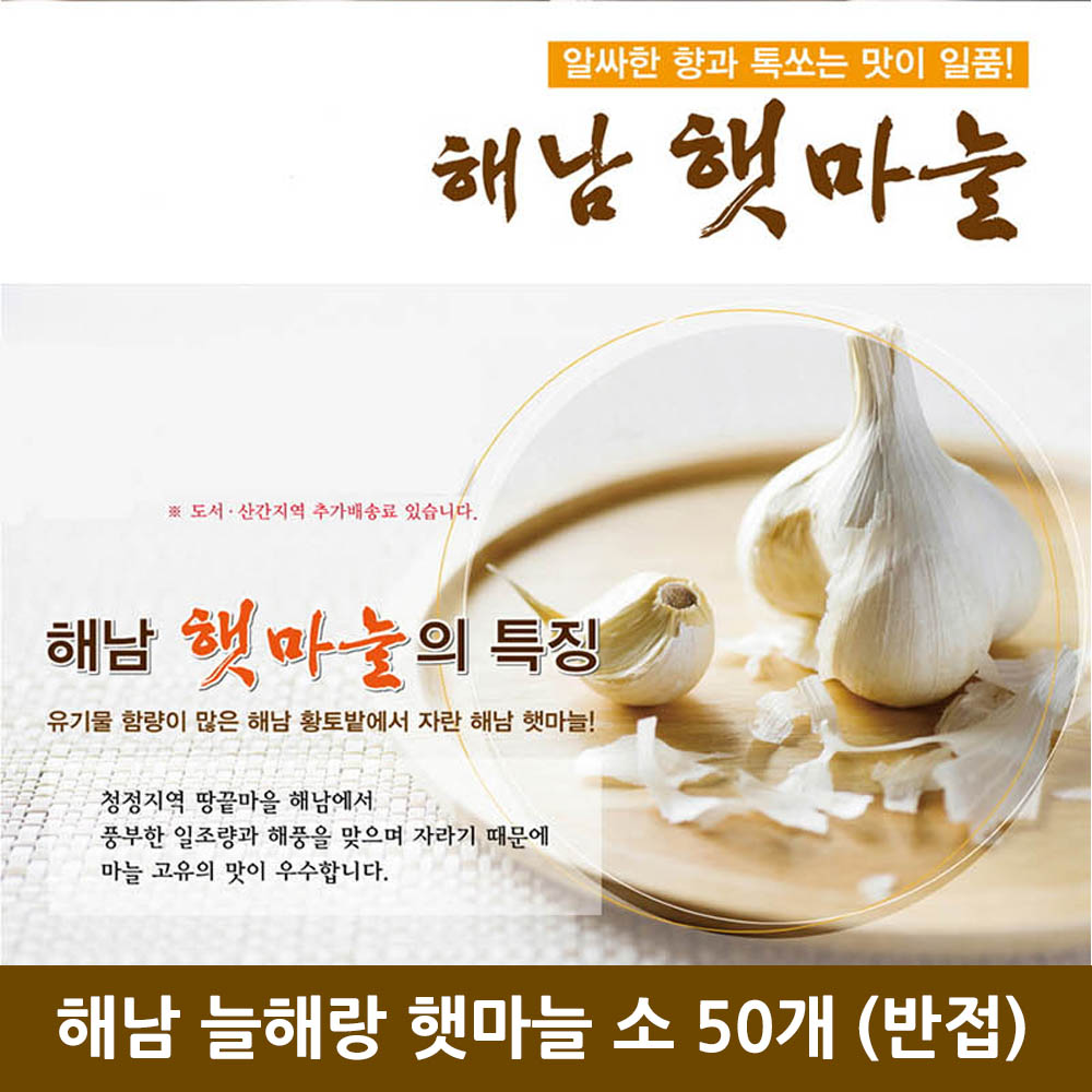 해남 늘해랑 햇마늘 소 50개 (반접)
