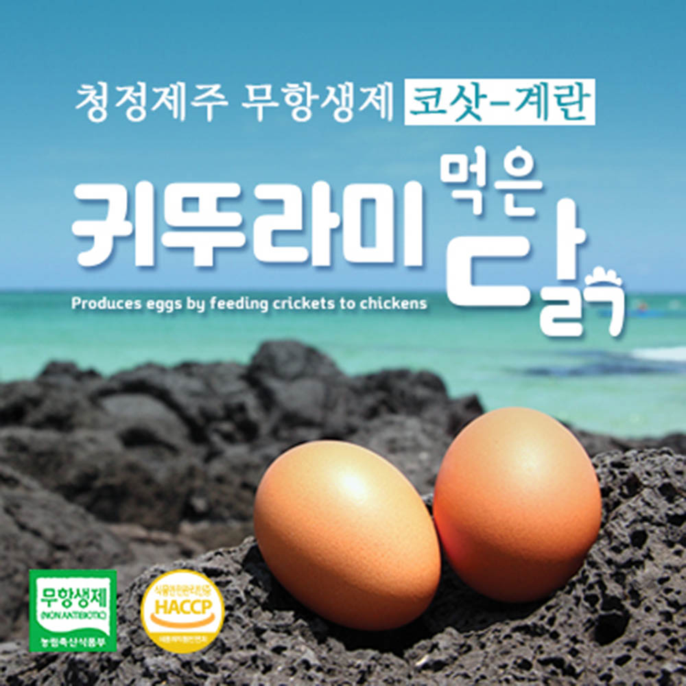 코삿(귀뚜라미닭) 10구*2 특란 20알