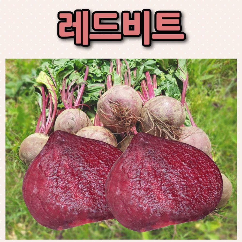 문경레드비트 10kg