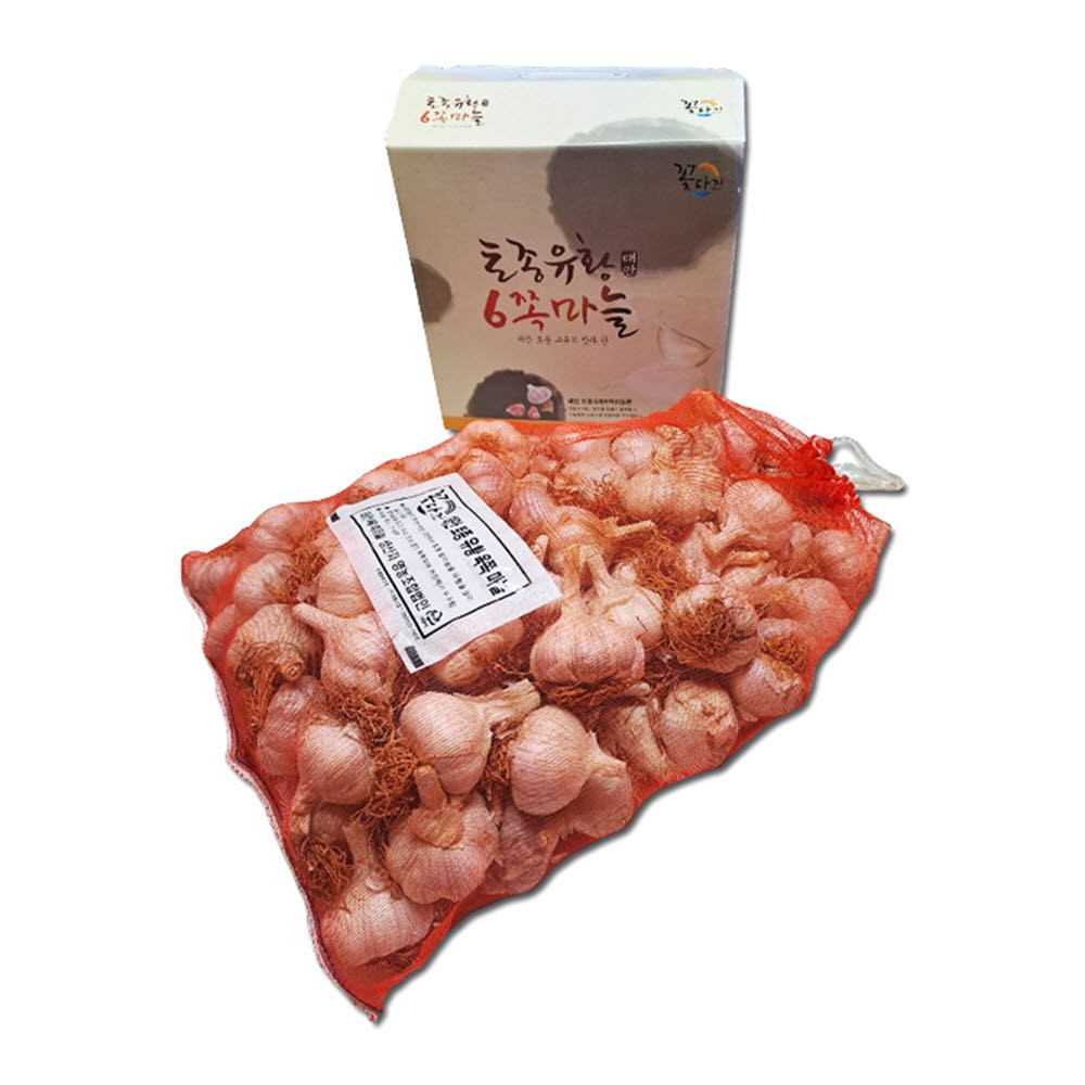 [농가직거래]태안 유황육쪽마늘 반접(50개) (사이즈: 4~4.5cm) 2021년8월생산