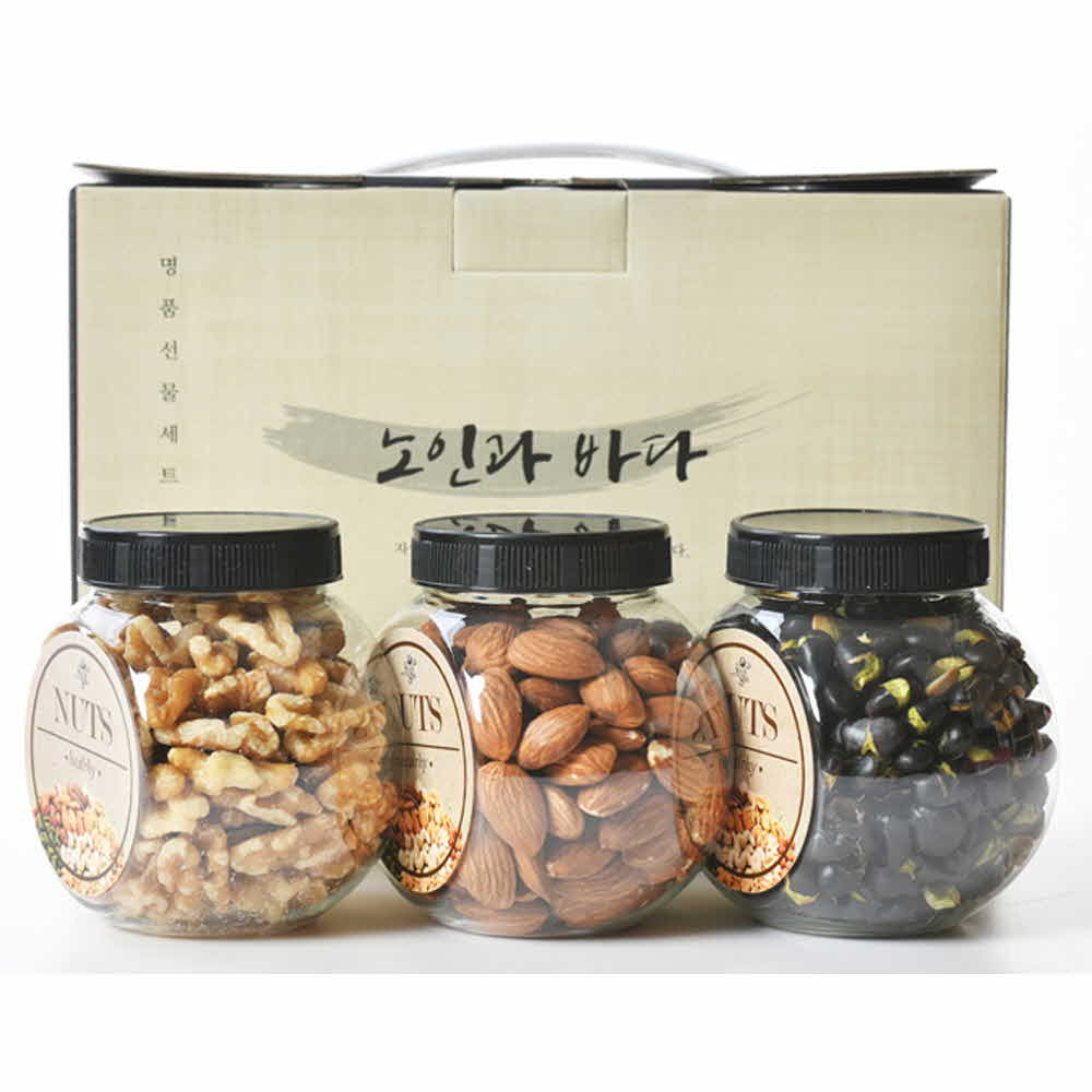 노인과바다 사랑견과1호