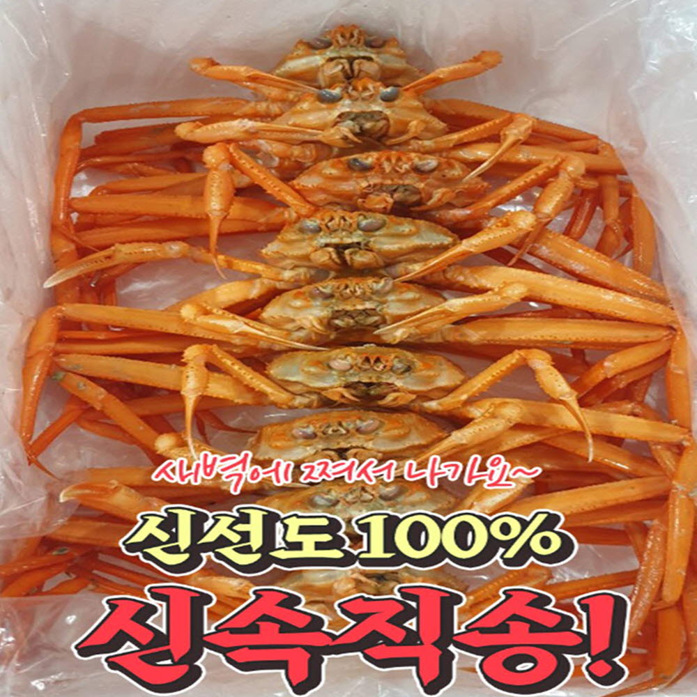 프리미엄 홍게 2.5키로 다리살 70%, 몸통살 60~70%