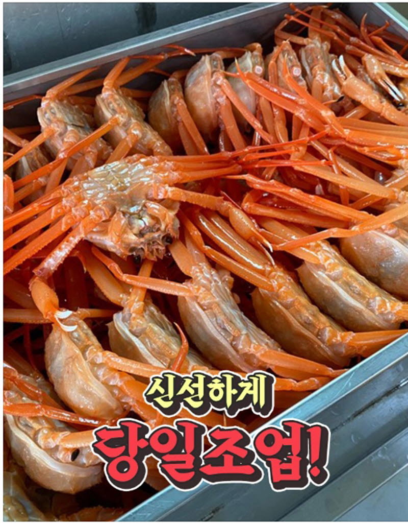 hongae10-d.jpg