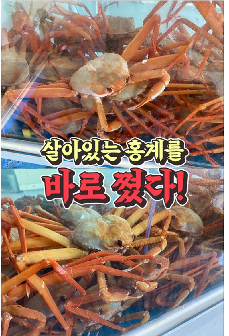 hongae2-d.jpg
