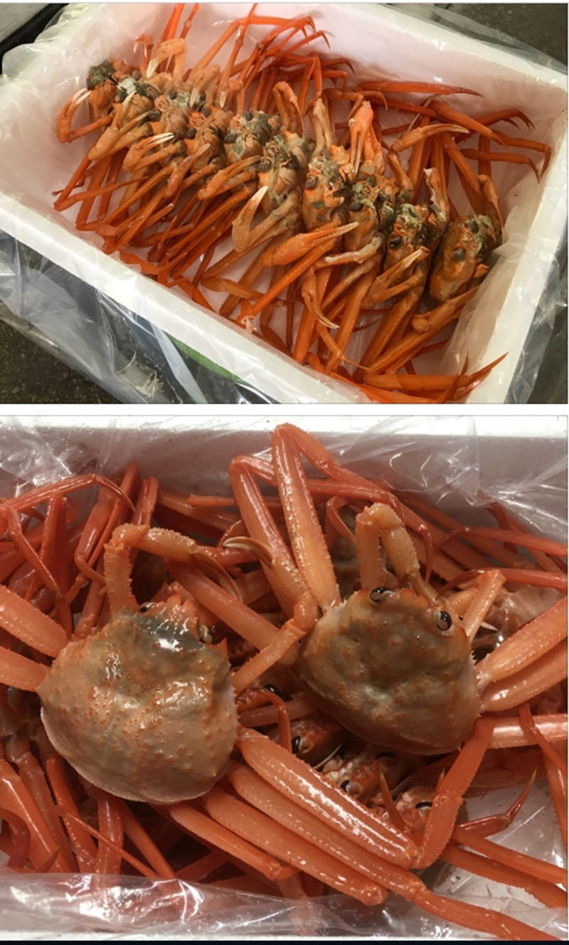 hongae3-d.jpg