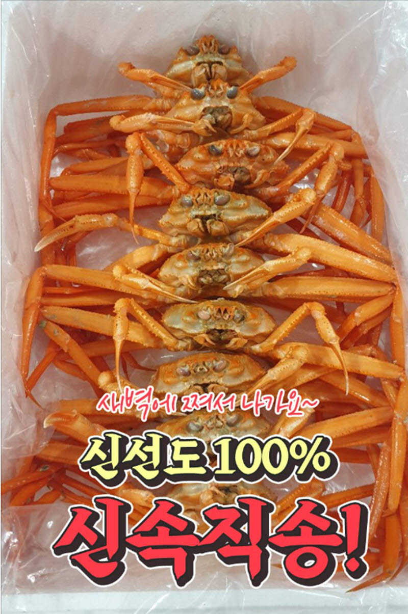 hongae8-d.jpg