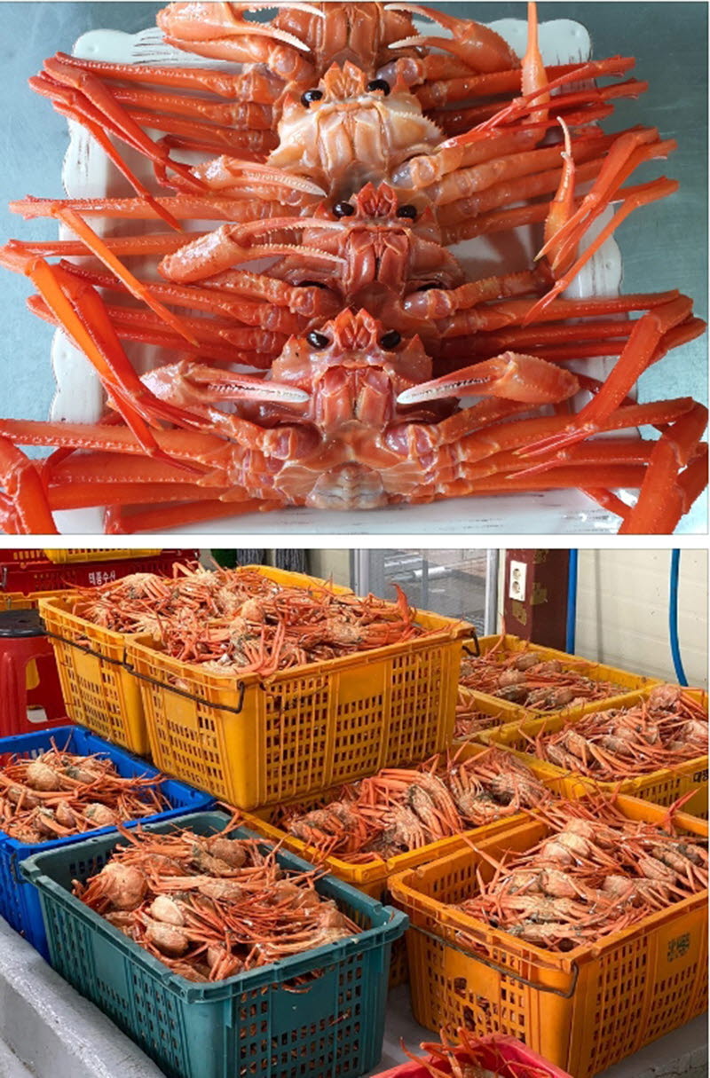 hongae9-d.jpg