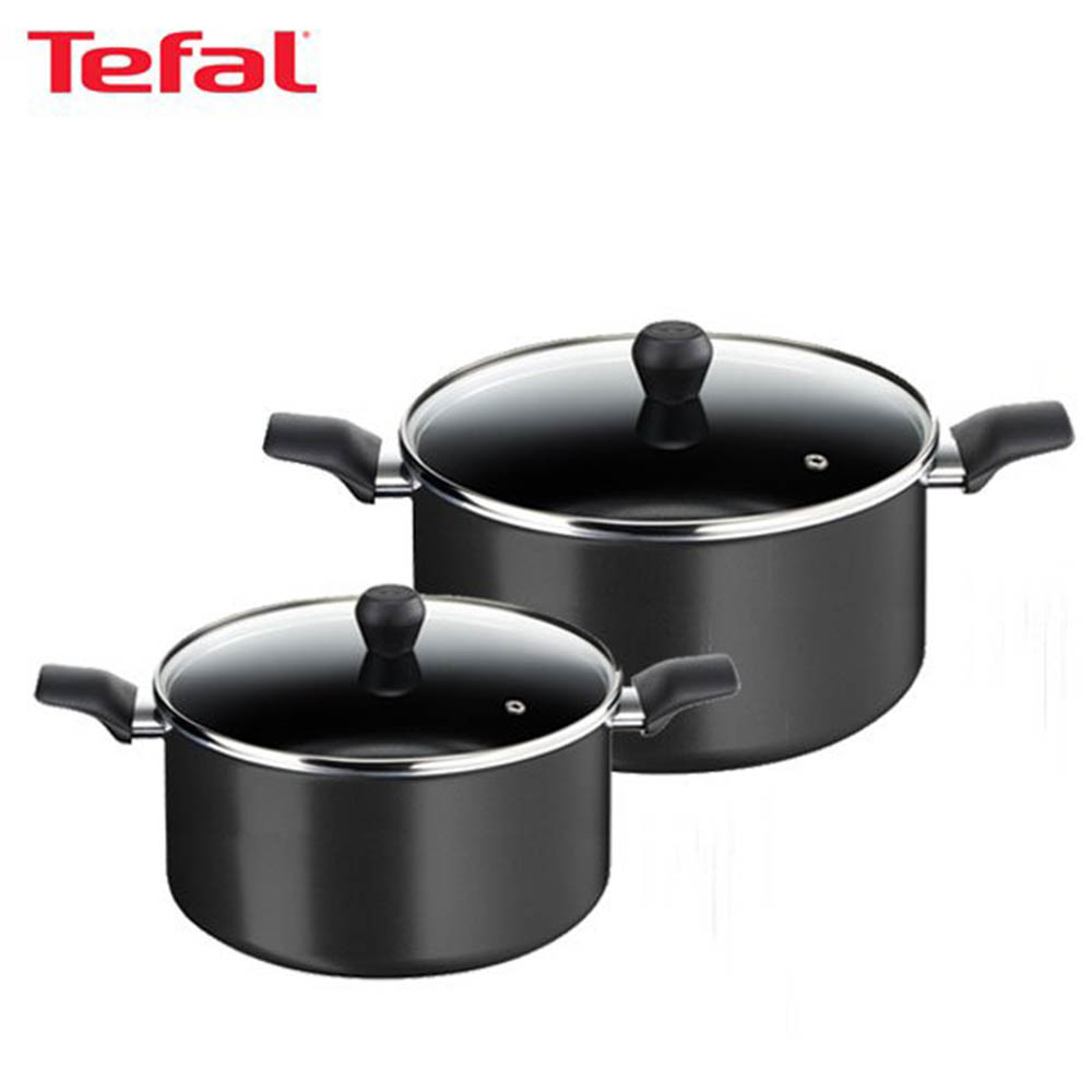 [테팔] 인비지아 냄비 양수 20cm+양수 24cm  TFC-IVP04