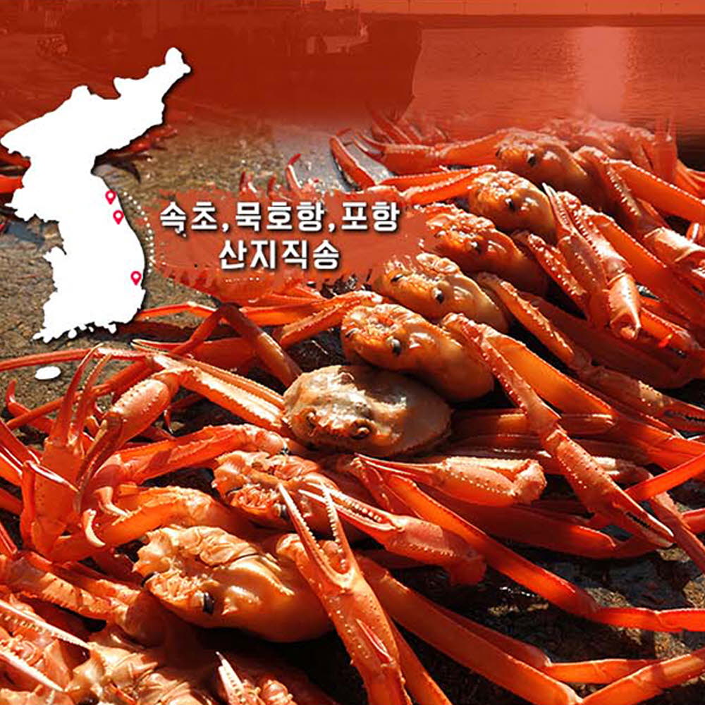 산지직송 자숙(찜) 프리미엄 홍게 2kg 5~7마리