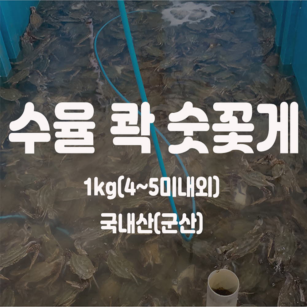 군산 수율 콱 숫꽃게 1KG (4~5미내외)