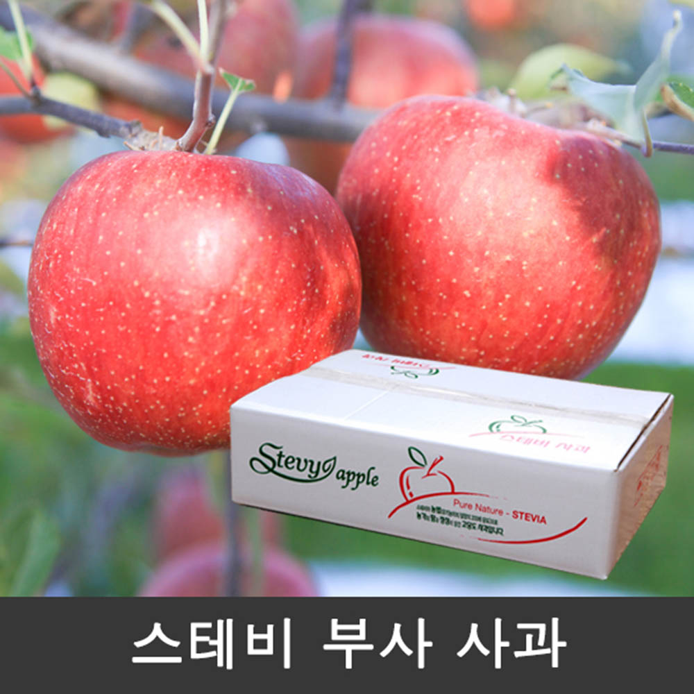 스테비 고당도 부사 사과 2.5Kg (8과 ~ 11과)