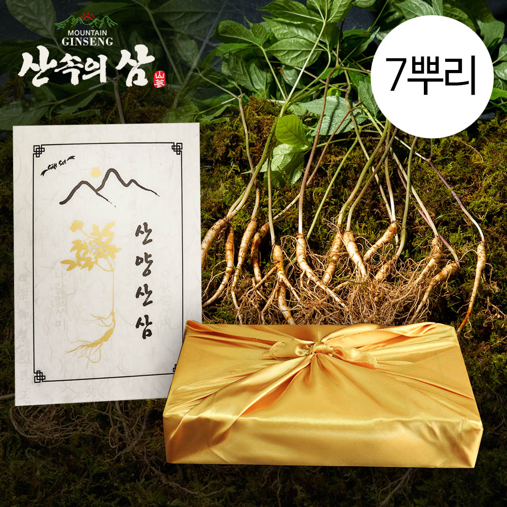 [산속의삼] 5~6년근 정품 산양산삼 7뿌리