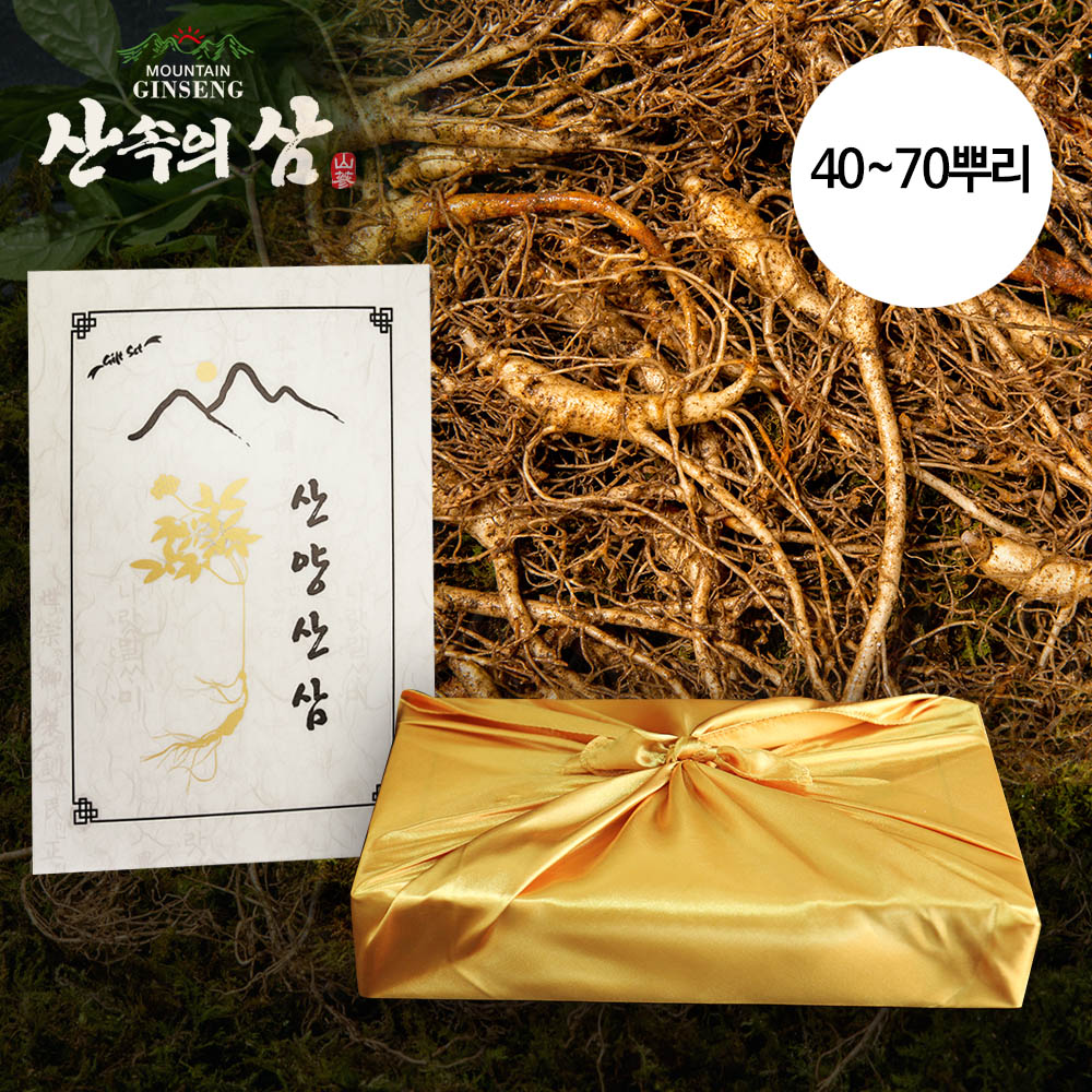 [산속의삼] 5-6년근 못난이 산양산삼 100g (40~70뿌리)