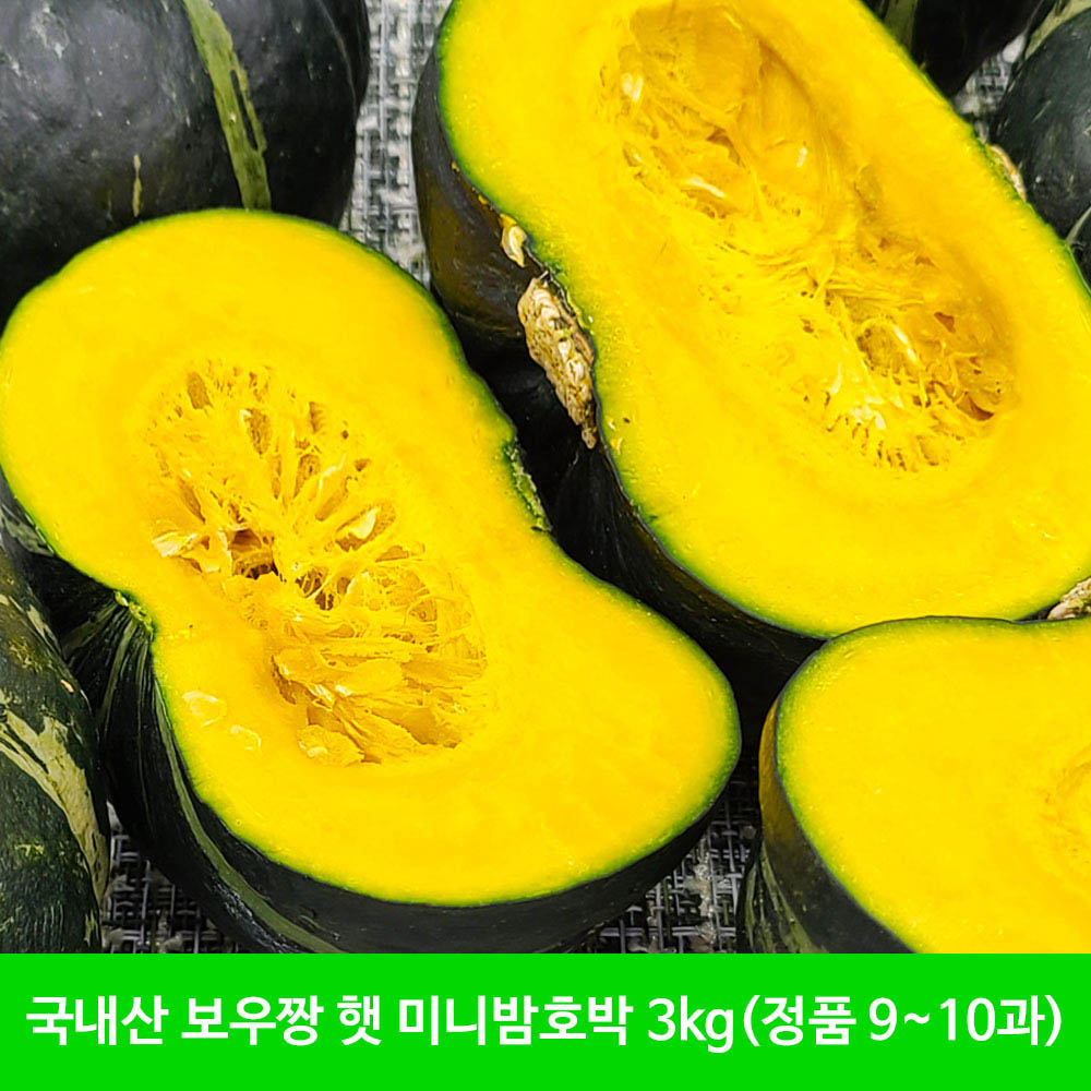 [함평 산지발송] 국내산 보우짱 햇 무농약 미니밤호박 3kg(정품 9~10과)