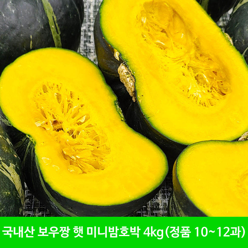 [함평 산지발송] 국내산 보우짱 햇 무농약 미니밤호박 4kg(정품 10~12과)
