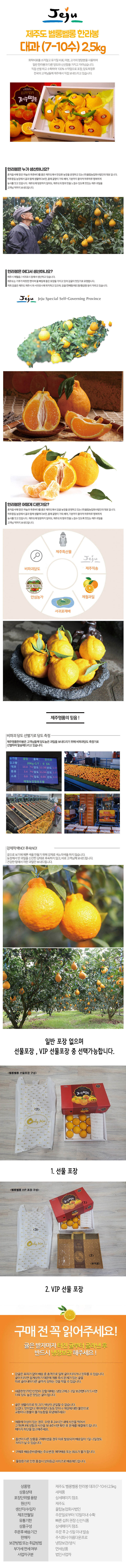 jeju01-d.jpg