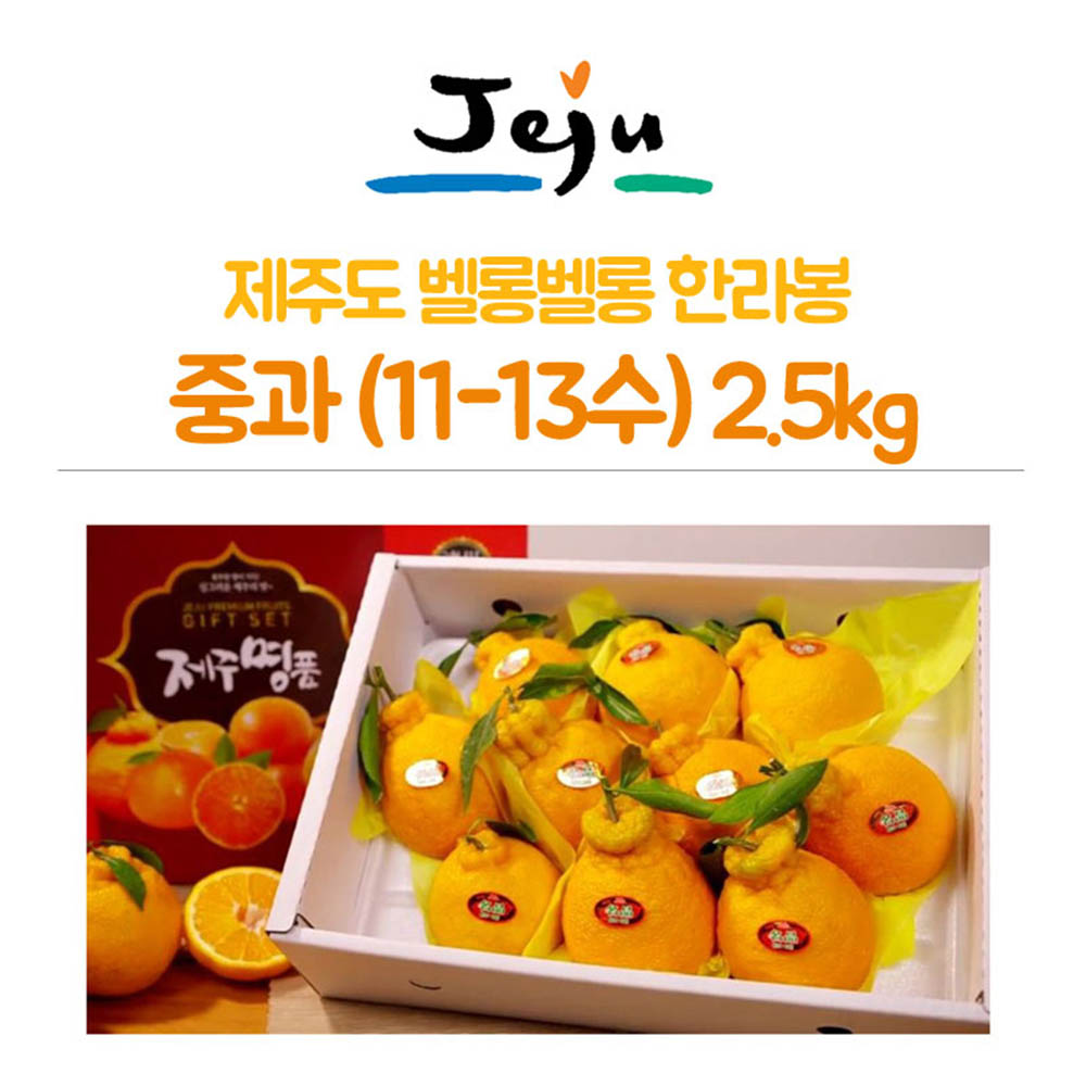 제주도 벨롱벨롱 한라봉 중과(11-13수) 2.5kg