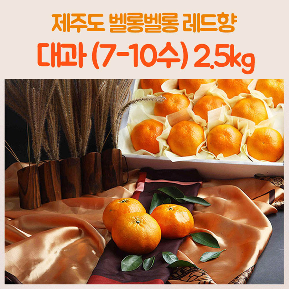 제주도 벨롱벨롱 레드향 대과(7-10수) 2.5kg