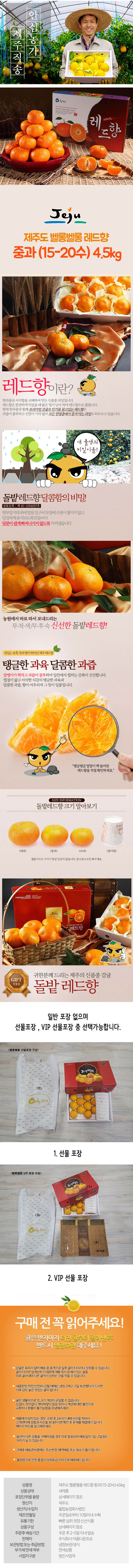 jeju08-d.jpg