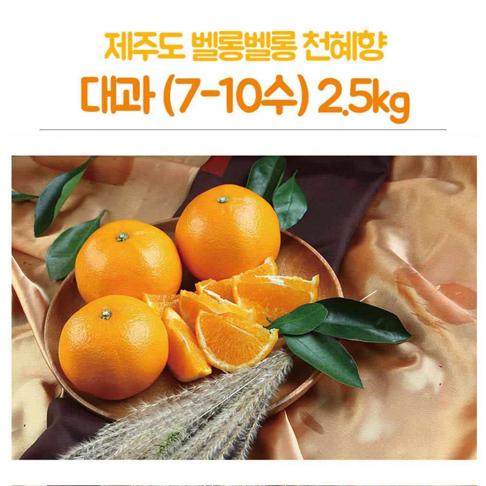 제주도 벨롱벨롱 천혜향 대과(7-10수) 2.5kg