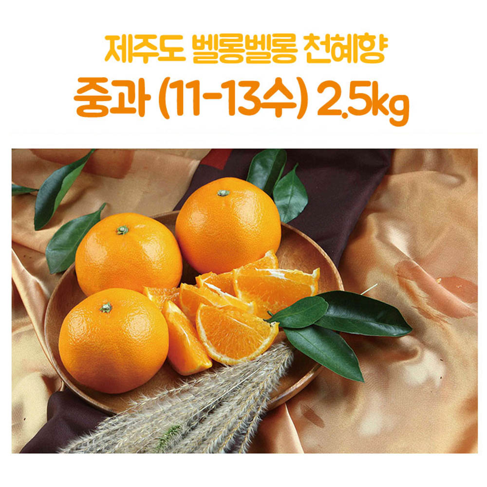 제주도 벨롱벨롱 천혜향 중과(11-13수) 2.5kg