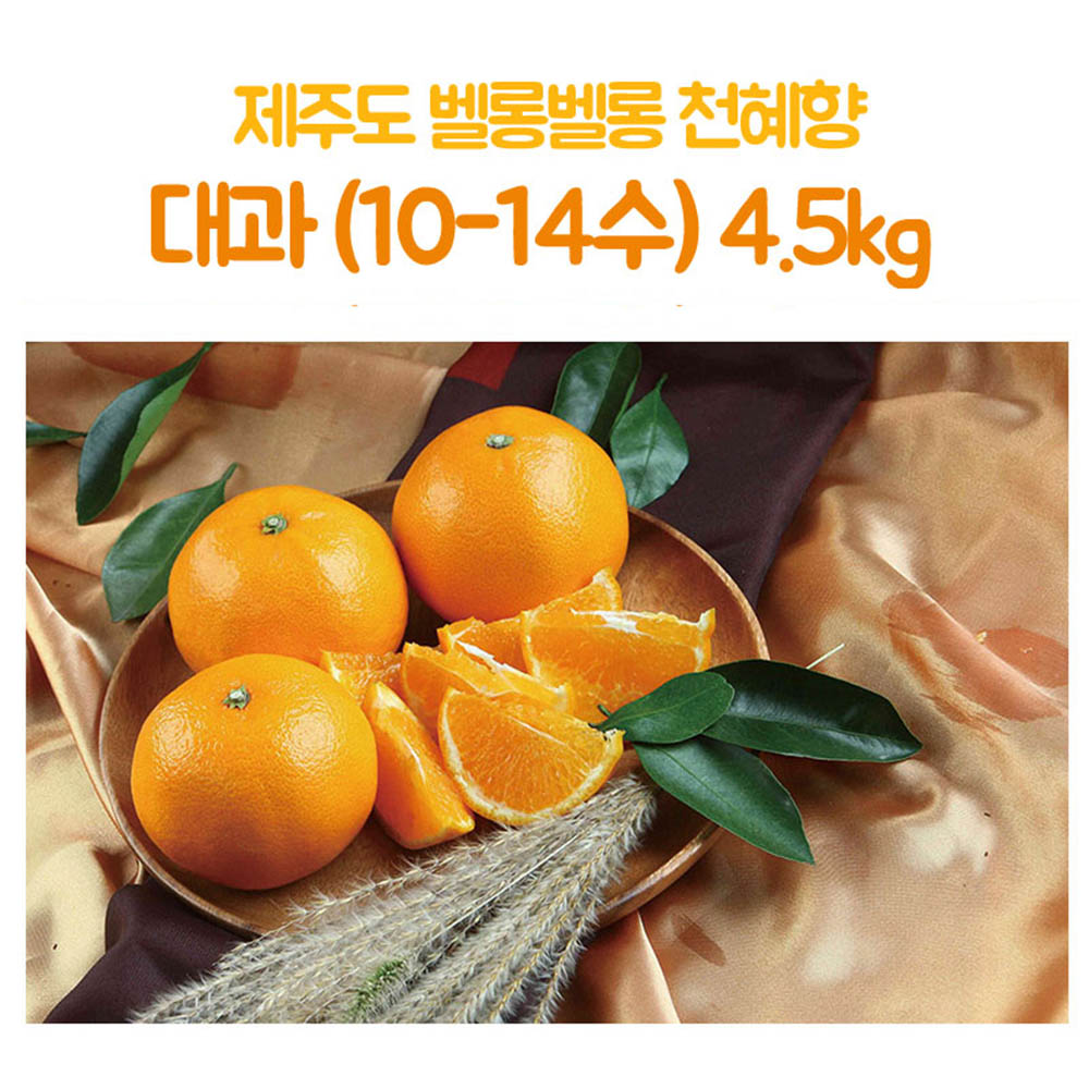 제주도 벨롱벨롱 천혜향 대과(10-14수) 4.5kg