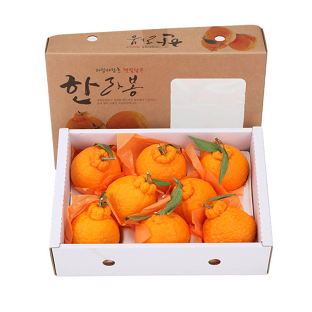 제주 한라봉 대(15~20과) 5KG