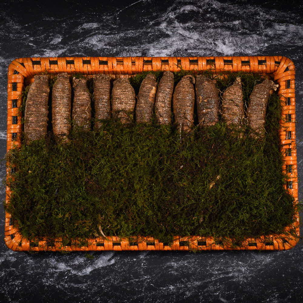 자연맛집 더덕 프리미엄 특상 선물세트(더덕 특상 500g) / 고급포장