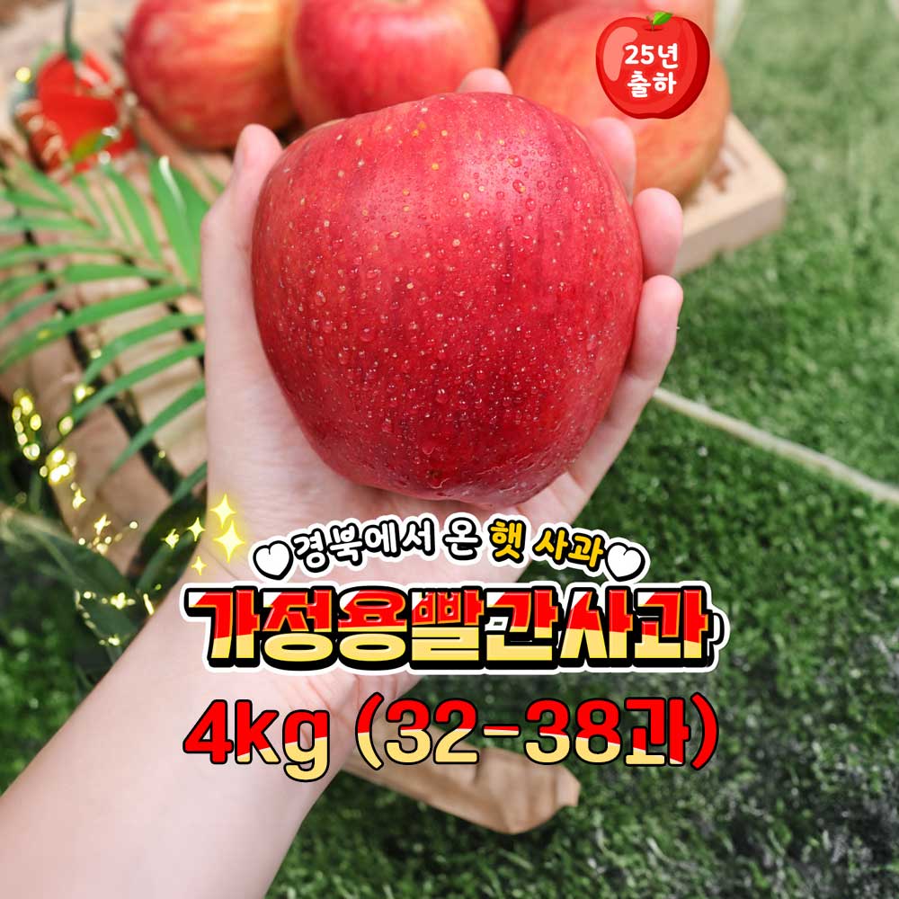 [제철과일] 가정용 옥황 빨간사과 4kg (32-38과)