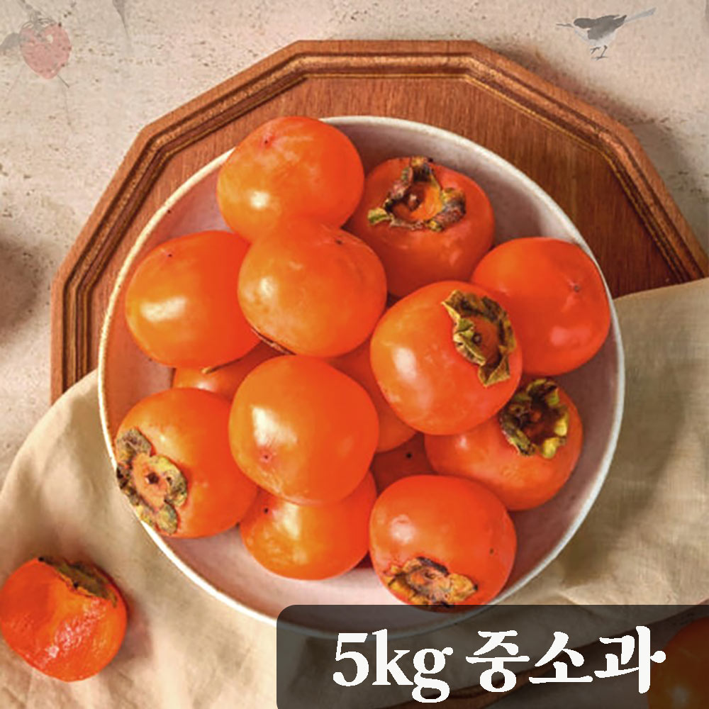 [청년농가] 달콤한 청도 반시 5kg 중소과 (46-50과) (후숙 전 떫은 햇감)