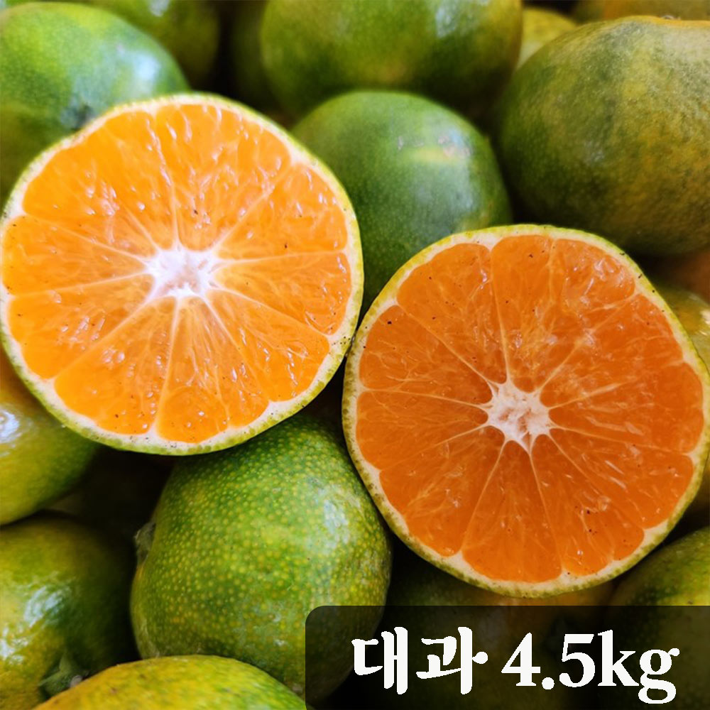 [청년농가] 제주 서귀포 햇 노지 감귤 대과(L-2L) (극조생/조생) 4.5kg (27~45과) (극조생/조생)