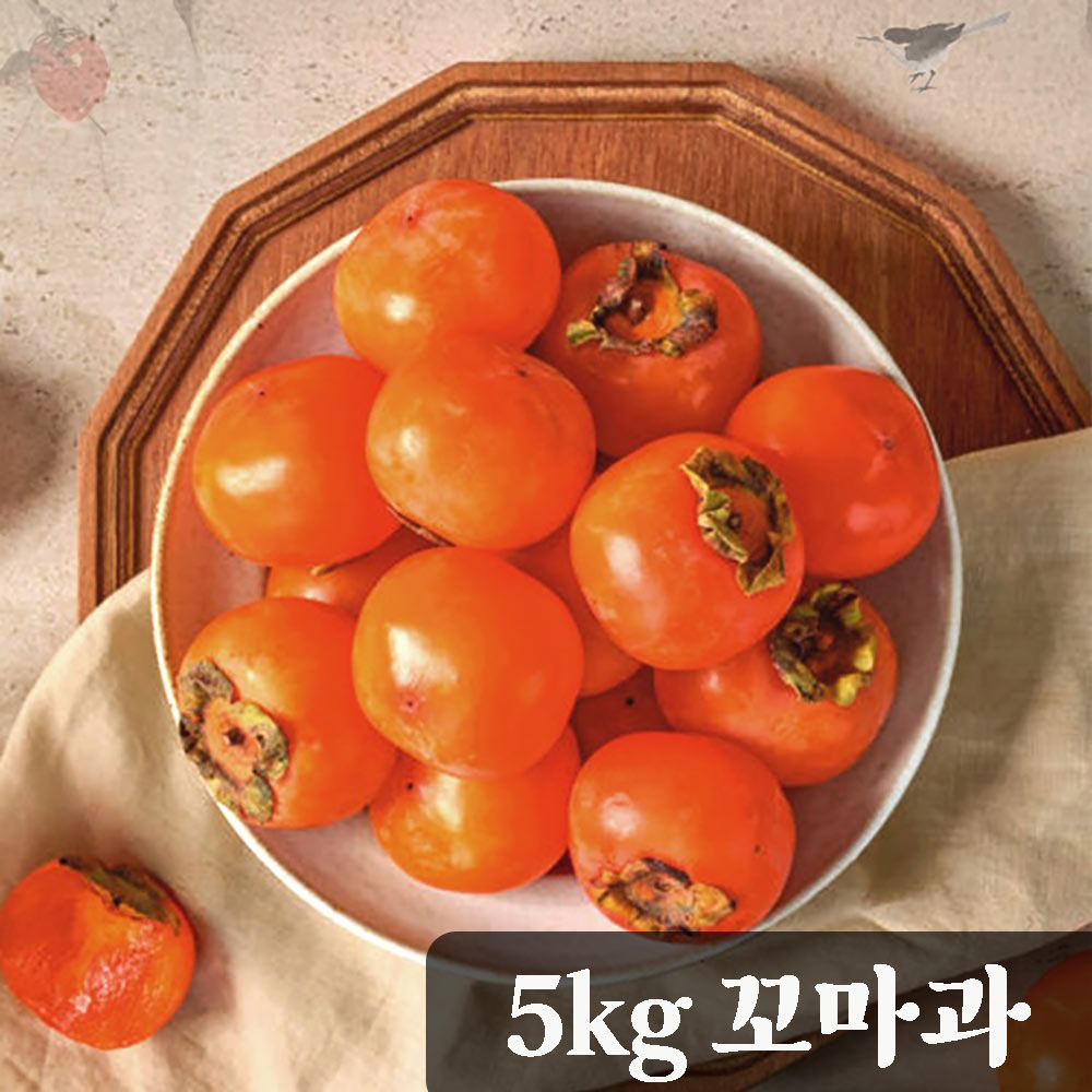 [청년농가] 달콤한 청도 반시 5kg 꼬마과 (56-65과) (후숙 전 떫은 햇감)