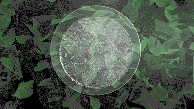jgdd-d_9_3.gif