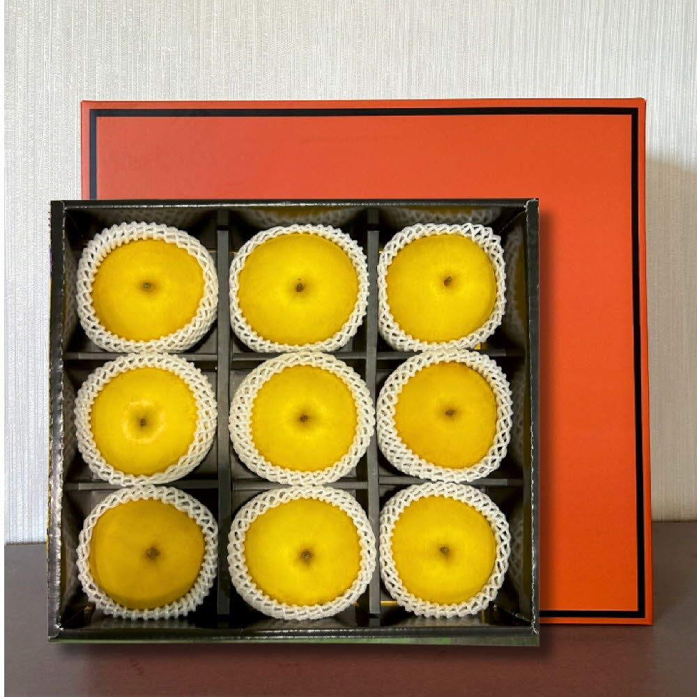 국내산 실속형 햇 배 선물세트 (9과)