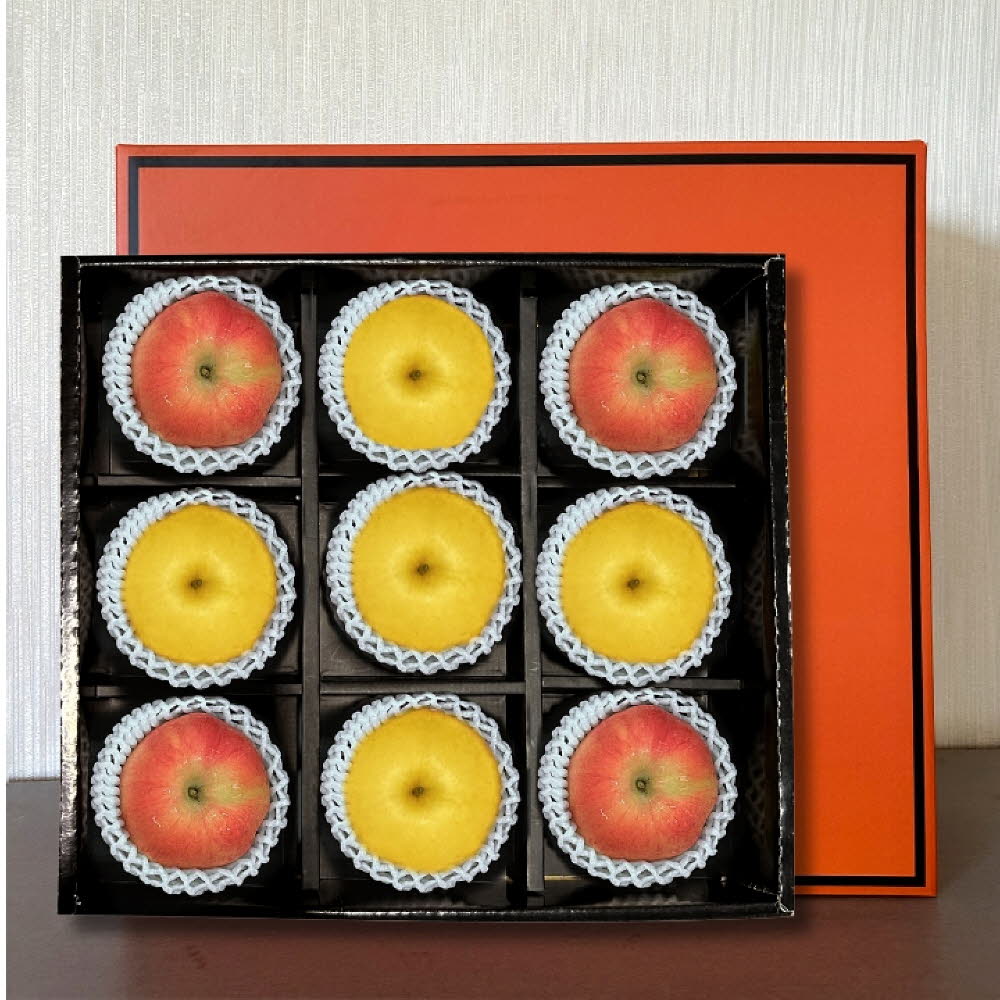 국내산 실속형 혼합 과일 9과 선물세트 (사과4과,배5과)