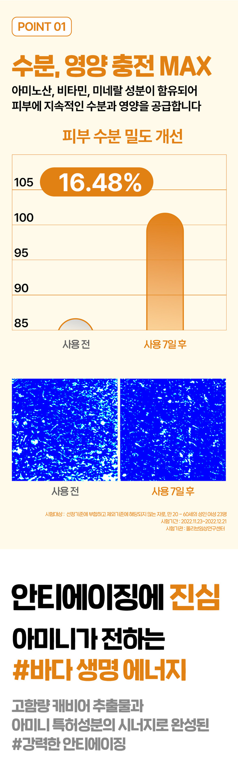 amn-d1-6.jpg